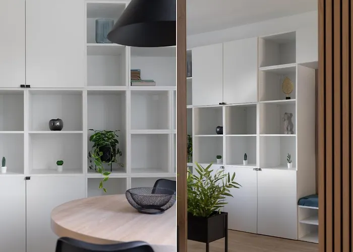 Blue Morpho Piatkowo By Bookinghost