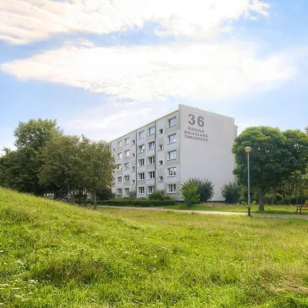 Blue Morpho Piatkowo By Bookinghost *