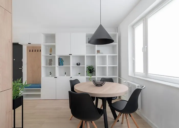 Blue Morpho Piatkowo By Bookinghost *